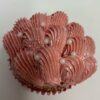 Mother’s Day Cupcakes 2024 - Image 5